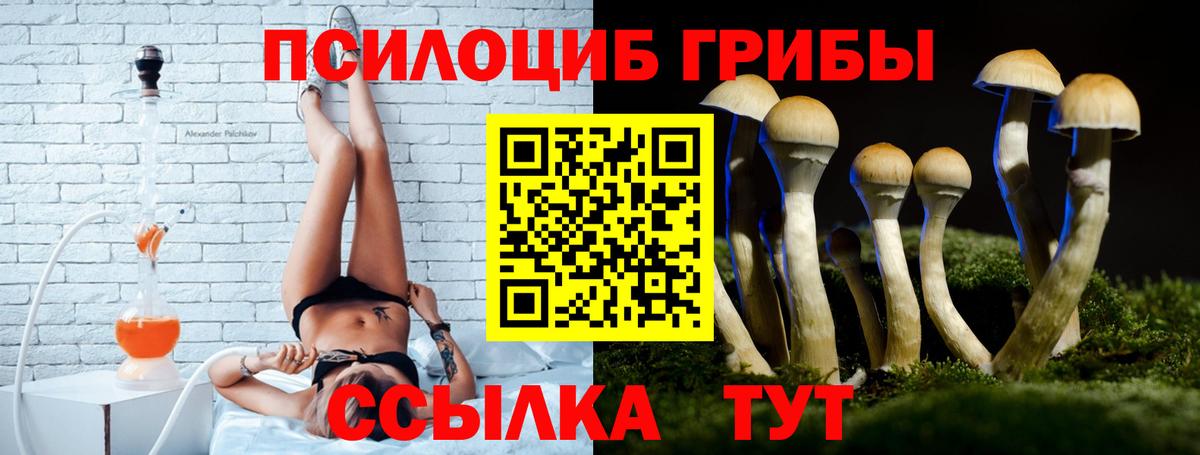 Псилоцибиновые грибы Magic Shrooms Луга